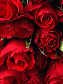 Cadeau saint valentin
